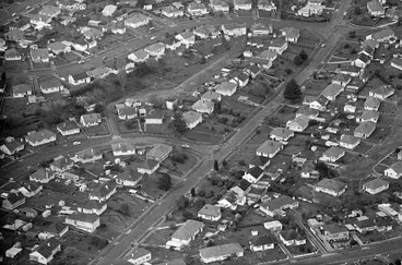 Image: Aerial view - Hayes Paddock.