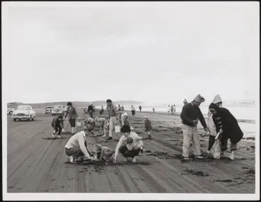 Image: Digging for toheroa at Muriwai Beach, 1962