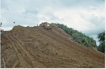 Image: Photograph, Kopu-Hikuai Road