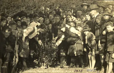 Arbor Day tree planting. Image: Arbor Day tree planting.