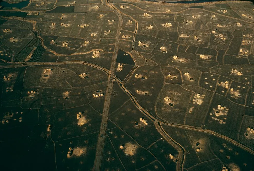 Japan Series: Landscape