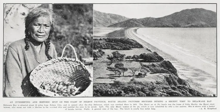 Pictures secured during a recent visit to Delaware Bay