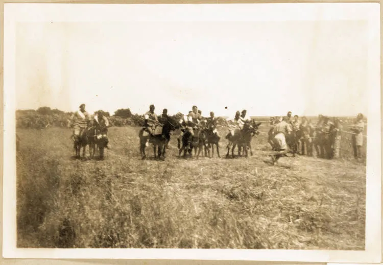 Soldiers on the backs of donkeys, Tunisia, 1943