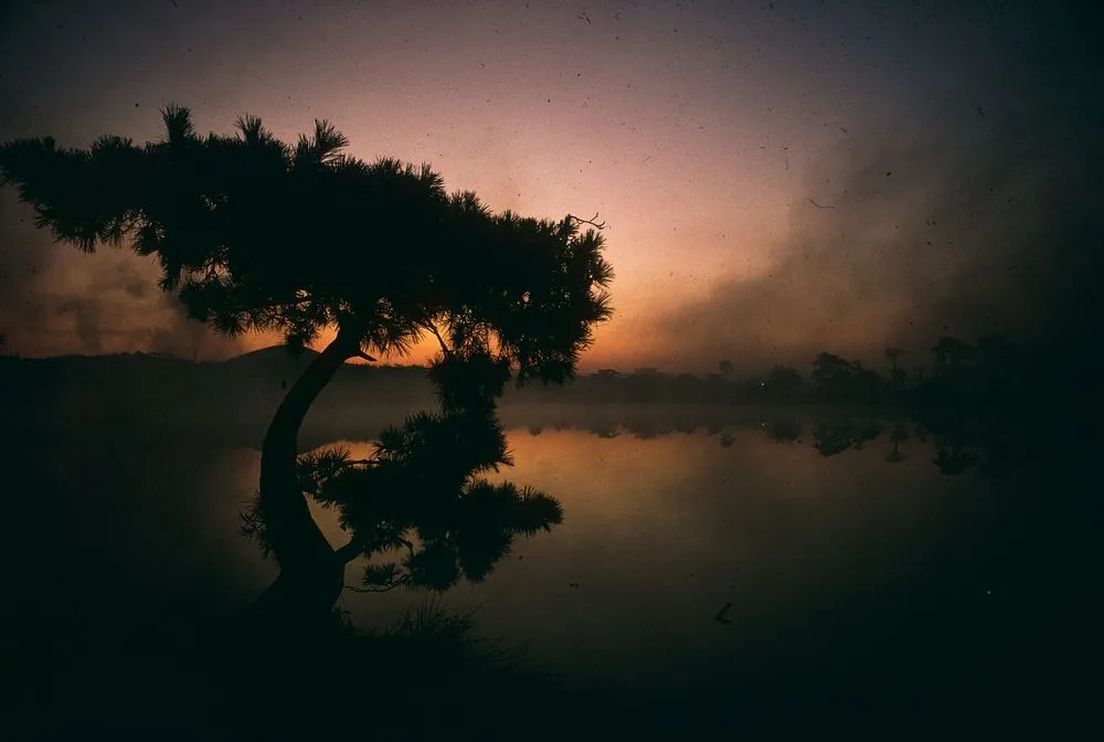 Japan Series: Hirosawaike Pond
