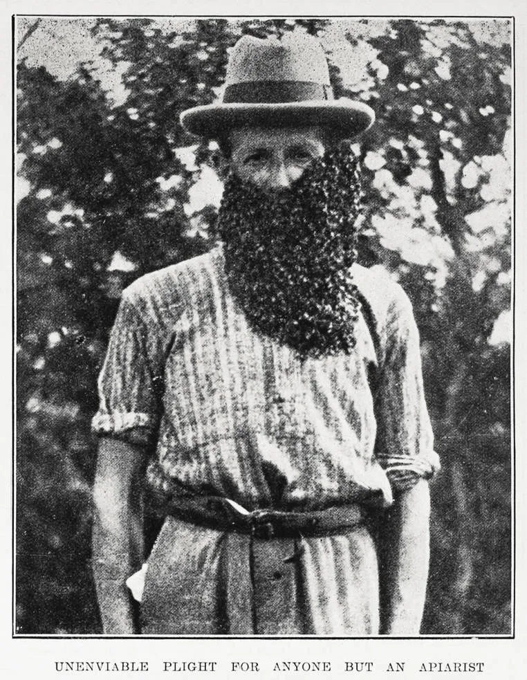 Unenviable plight for anyone but an apiarist