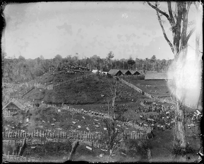 Fort Rolleston, Parihaka