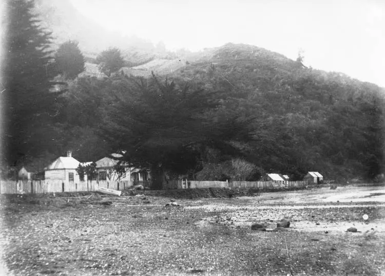 Foreshore, Little Huia.