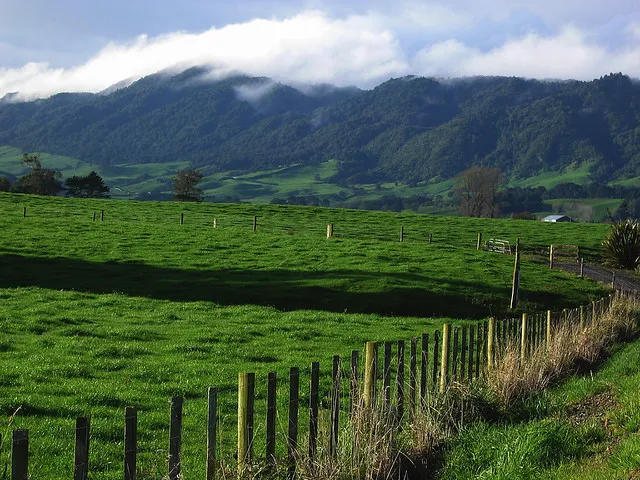 Waikato dairy country with the Kaimai Ranges in the distance