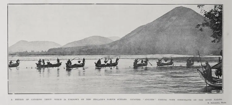 A Method Of Catching Trout Which Is Unknown On New Zealand's Famous Streams