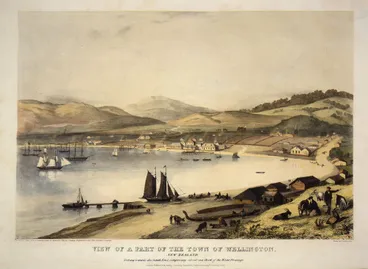 Image: View of a part of the town of Wellington, New Zealand