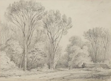 Image: Manuka Grove on Taine's Section, Upper Hutt