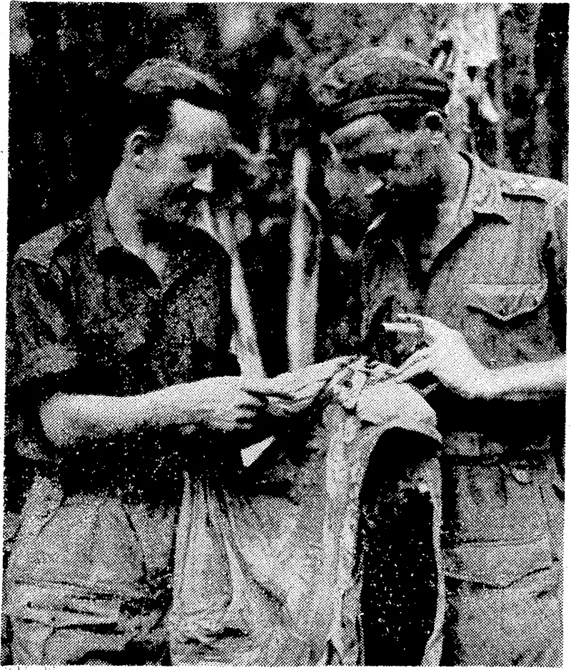 Pilot Officer D. H. Trim (left), of Wellington, talking to Lieutenant E. B. Russell, who led the infantry patrol which recently rescued him from the jungle when he parachuted into enemy territory on Bougainville, which island is still partly held by Japanese forces. General Eisenhower, Allied Supreme Commander in Europe, and Mrs. Eisenhower chatting with Mrs. Roosevelt when the General visited her at Hyde Park and placed a wreath on the grave of the late President. Two of Mrs. Roosevelt's grandchildren look on shyly. (Evening Post, 28 July 1945)
