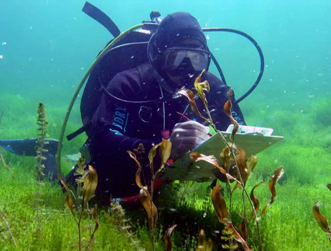 Scientific investigation