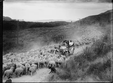 Image: Car on a country road, surrounded by a drover's sheep