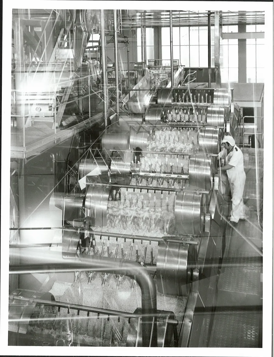 Agriculture - Dairy Factories - Cheese