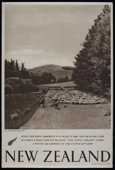 Image: [New Zealand Government Tourist Department] :New Zealand. On a New Zealand sheep station. Since the first shipment was made in 1882, New Zealand lamb has been famous for its quality. Now, over a million lambs a month are shipped to the United Kingdom. Printed in England by Sun Printers Ltd., London and Watford [1940s]