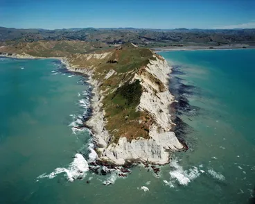 Image: Young Nick’s Head