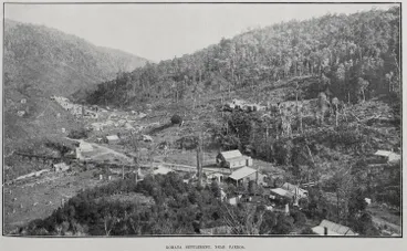 Image: Komata settlement, Near Paeroa