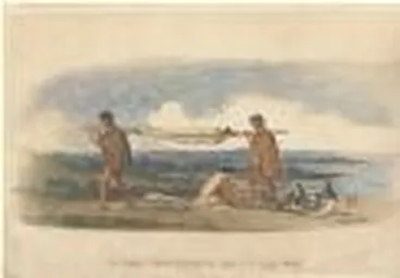 Image: New Zealand litter as described by Doctor A.S. Thomson, 58th Regt. [picture].