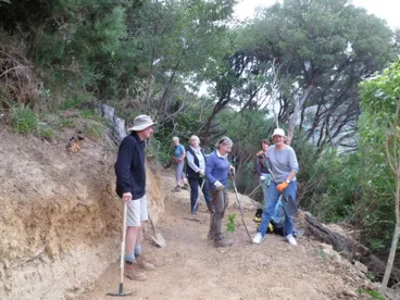 Walking Tracks Image: Walking Tracks