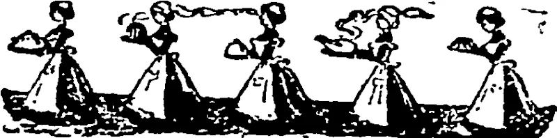 Untitled Illustration (Otago Witness, 17 December 1902)