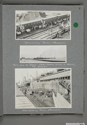 Disembarking Horses. Alexandria.