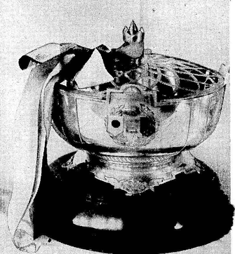 Ereniug Tost" Photo. INTER-ISLAND RUGBY TROPHY.—The rose bowl presented to the New Zealand University team by Japanese Rugby enthusiasts daring the recent tour has been allocated by the University Football Council as the trophy for. inter-island competition, the first match talcing place in Wellington next Wednesday. (Evening Post, 03 July 1936)