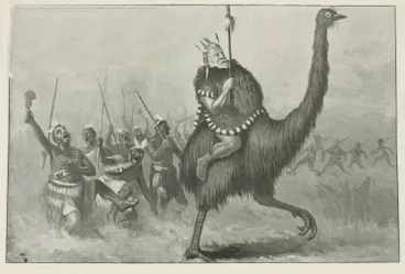 Image: Seddonius Africanus