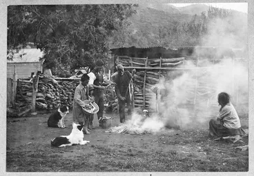 Image: Maori group smoking eels, Koriniti