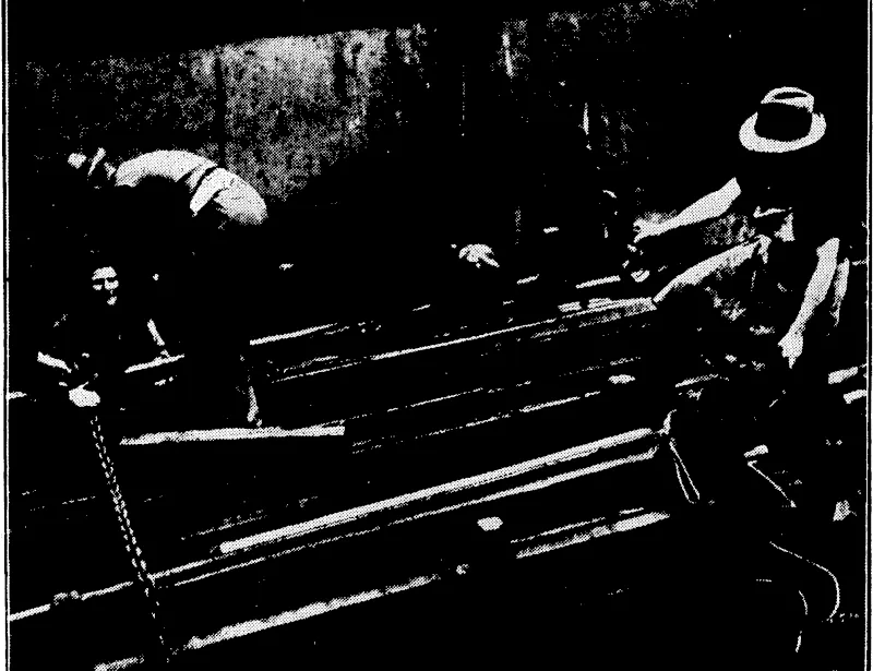 Evening Post" Photo. SCRAP METAL FOR JAPAN.—A third large shipment of scrap metal is now being loaded into the British steamer Helms pey.'for, transport.to Japan. It is expected that about 4000 tons willfbe taken ■ from .Wellington.' (Evening Post, 23 May 1933)