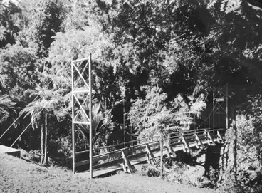 Image: Swing bridge, Cascade Kauri Park.