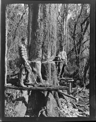 Image: [Edgar (right) and Owen Williams?], felling trees, Kakahi, Ruapehu District