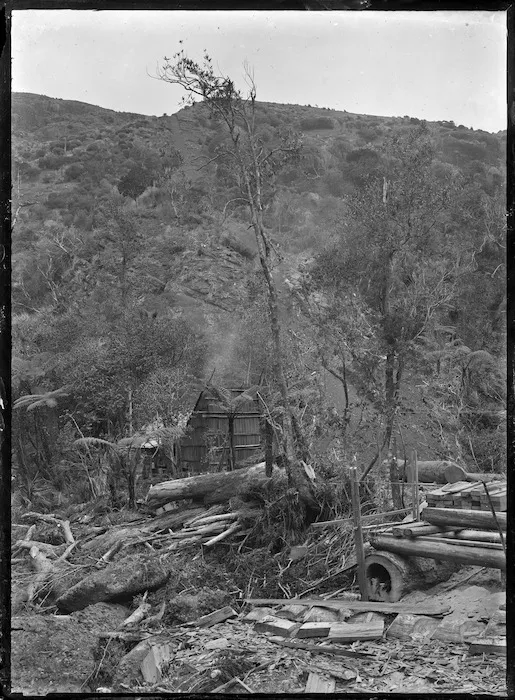 Anawhata Incline, used for logging near Piha.
