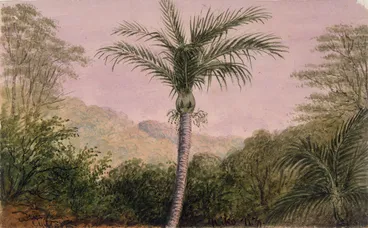 Image: Gold, Charles Emilius 1809-1871 :Niko N.Z. [Wellington region, between 1848 and 1860]