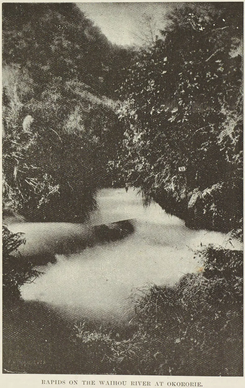 Rapids on the Waihou River at Okororie