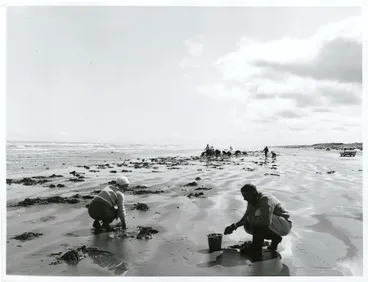 Image: Fishing - Toheroas