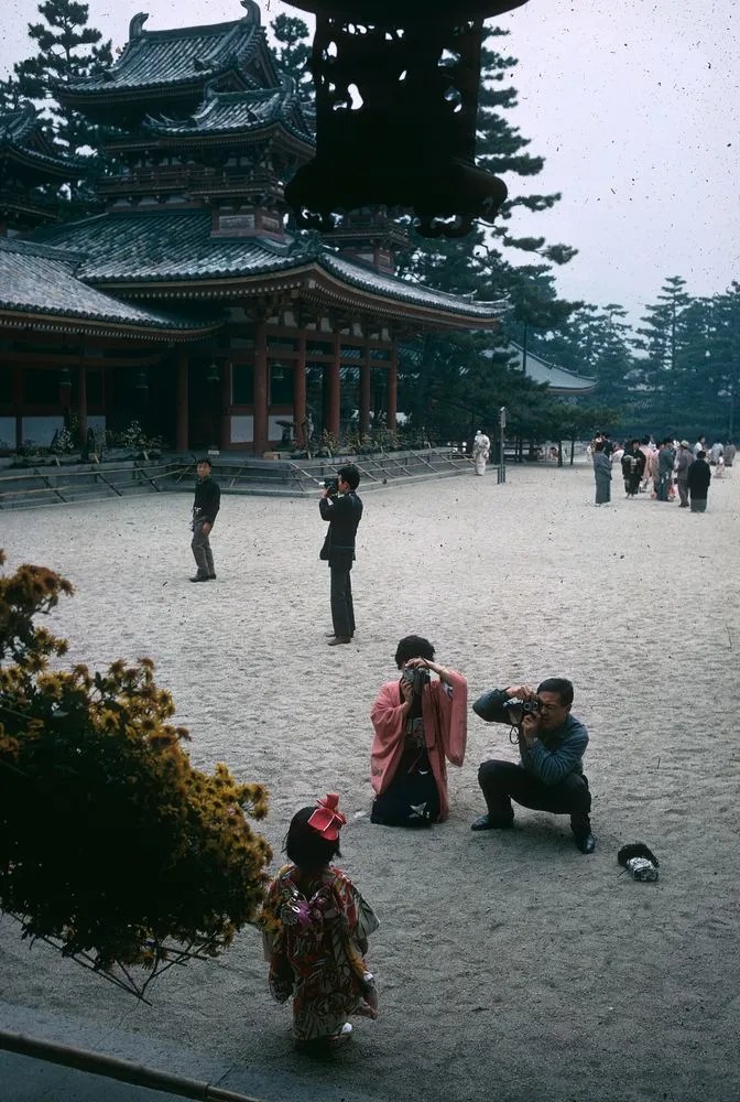 Japan Series: Shichigosan Festival