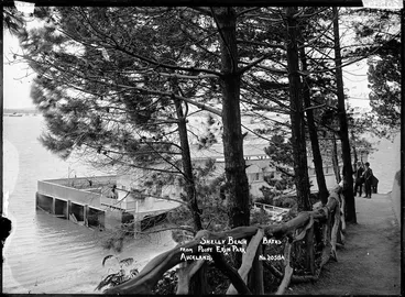 Image: Shelly Beach Baths from Point Erin Park, Auckland