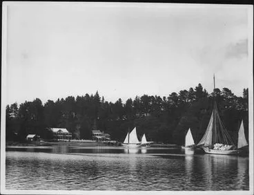Image: Yachts ''Ilex", "Viking" and "Thistle" drying sails,  in Mansion House Bay.