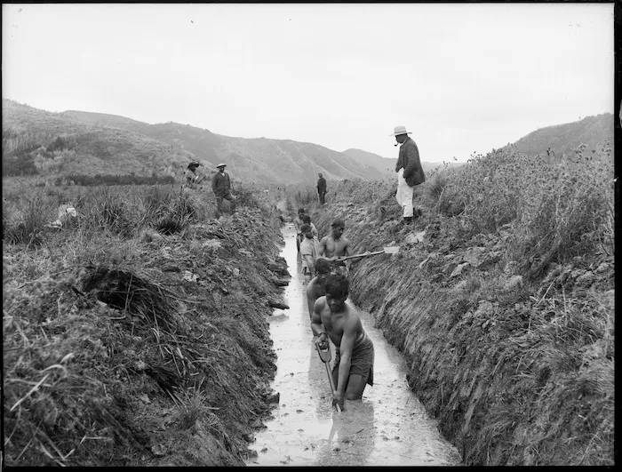 Digging a drainage ditch in Whakaki