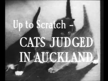 Image: Pictorial Parade No. 52 (1956)