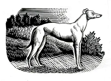 Image: E. Mervyn Taylor School Journal artwork