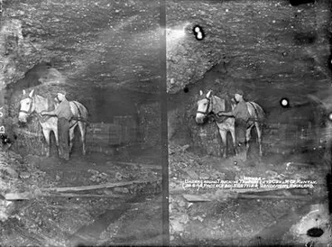 Image: Horse - underground trucking, Taupiri Extd. Coal Mine Co., Huntly.