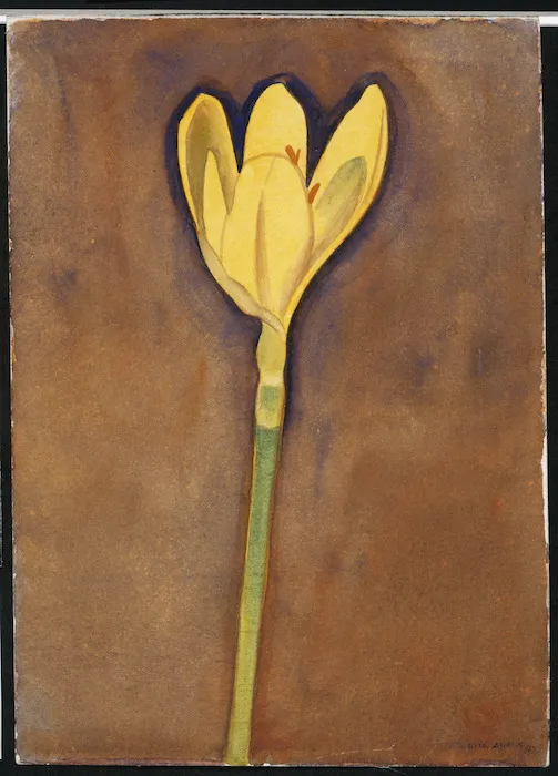 Angus, Rita, 1908-1970 :[Crocus] 1947