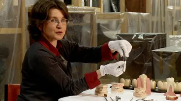 Image: Tales from Te Papa - Dental Nurse Equipment