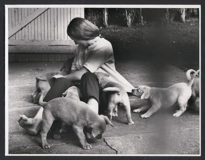 Arthur Hughes' labrador puppies