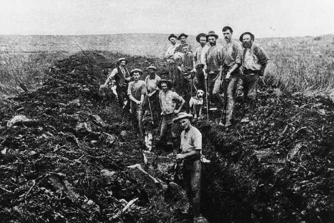 European migrants: Dalmatian gum diggers