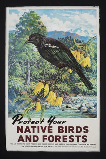 Image: Protect your native birds and forests