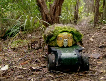 Image: To Save the Kākāpō