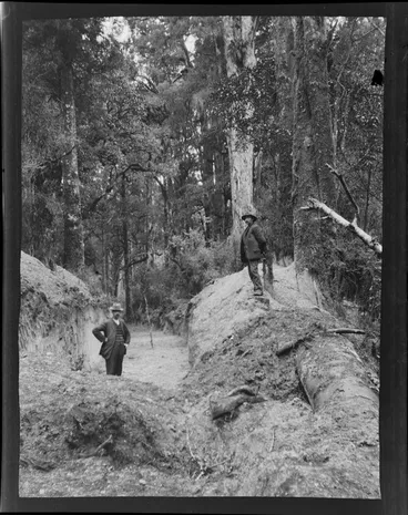 Image: Tree felling, two unidentified men with a newly dug pit within an unknown forest location, Kakahi District, Manawatu-Whanganui Region